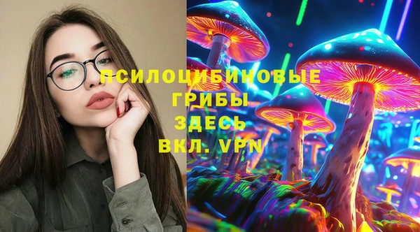 стаф Абдулино