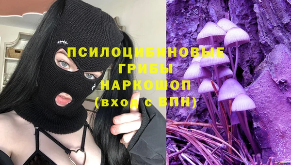 амф Абаза
