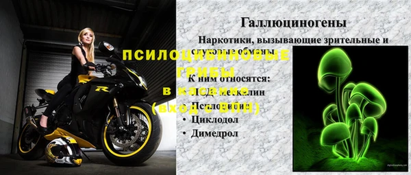 амф Абаза